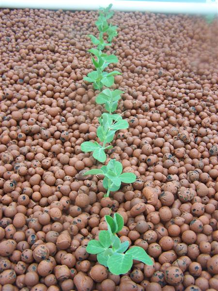 100_5437 (Custom).JPG