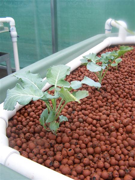 100_5441 (Custom).JPG