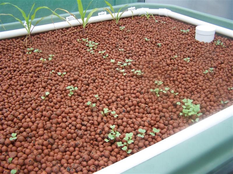 100_5442 (Custom).JPG