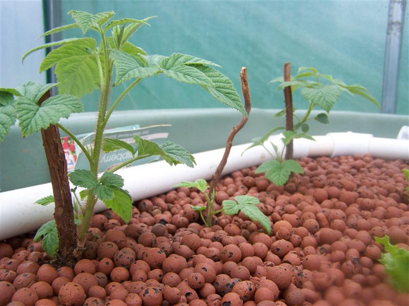 100_5448 (Custom).JPG