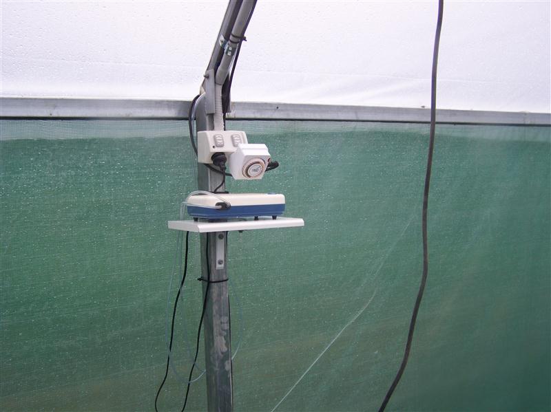 100_5451 (Custom).JPG