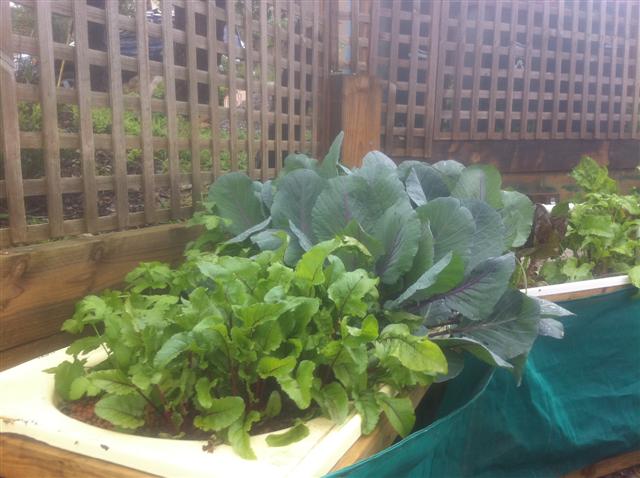 IMG_0087 (Small).jpg