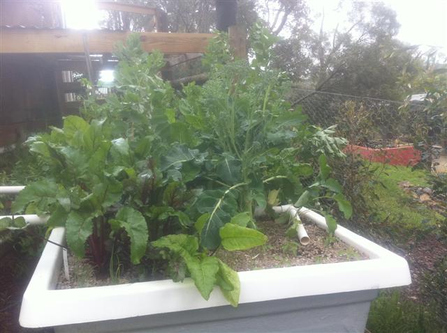 IMG_0090 (Small).jpg