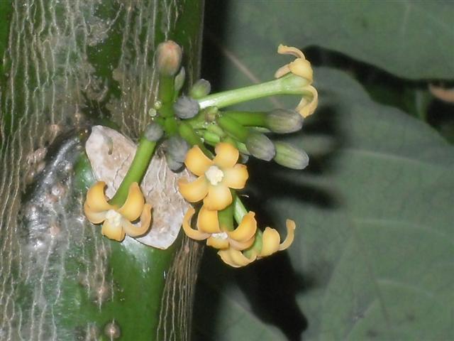 SDC10810 (Small).JPG