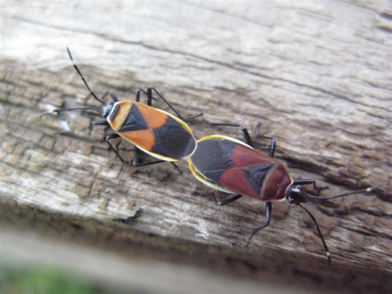 IMG_1884 (Medium).JPG