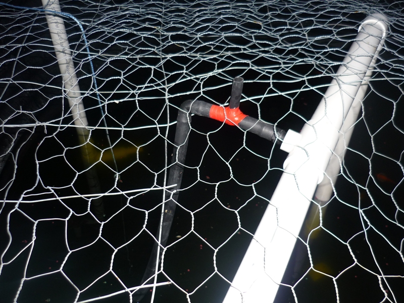 AP check valve 002.jpg