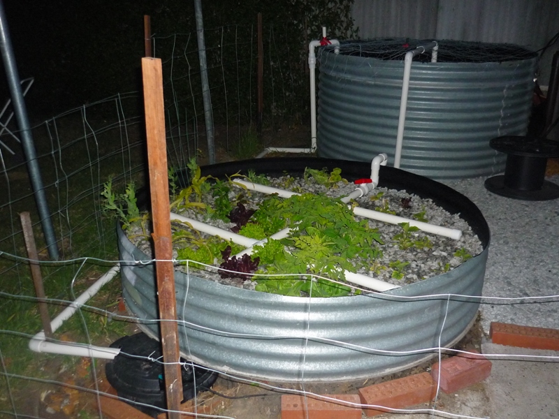 AP check valve 003.jpg