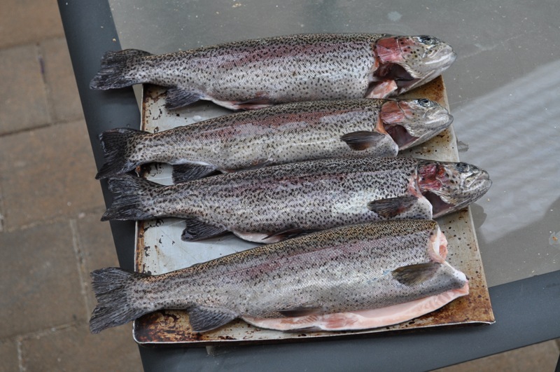 first kill 2010 season.jpg