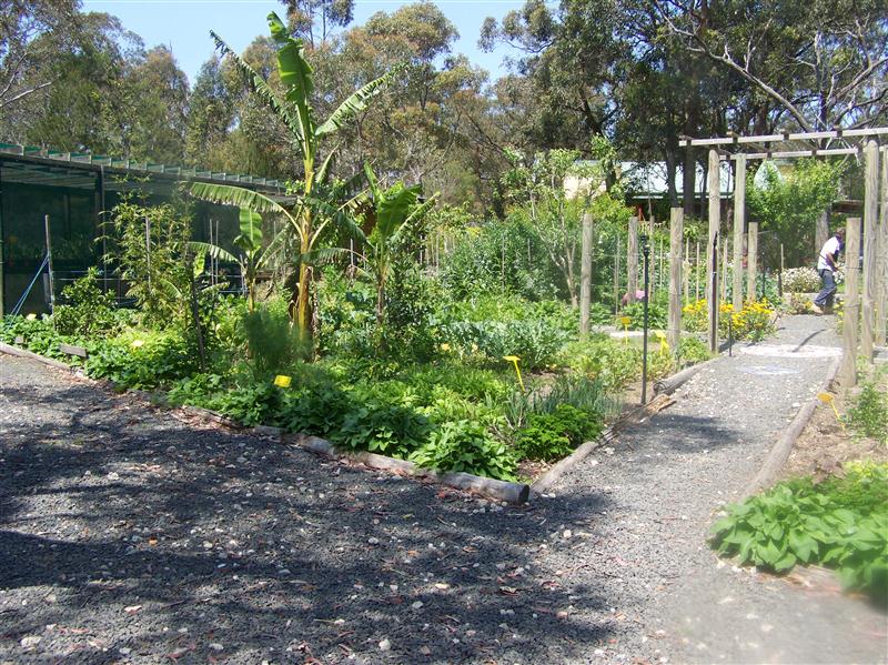 100_5474 (Custom).JPG