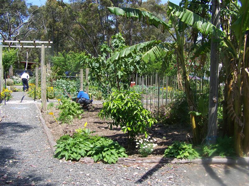 100_5475 (Custom).JPG