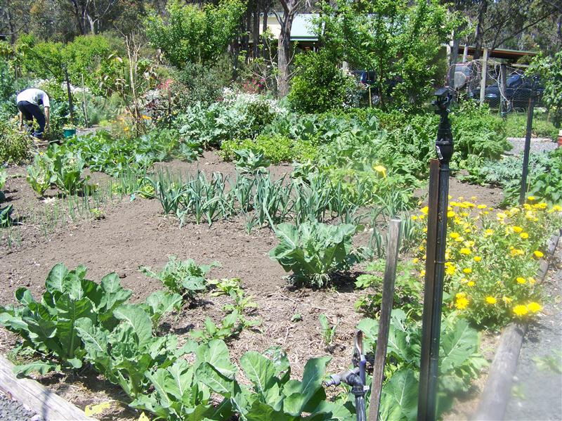 100_5476 (Custom).JPG