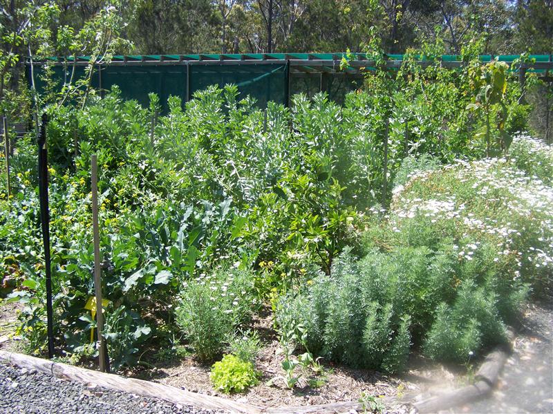 100_5477 (Custom).JPG