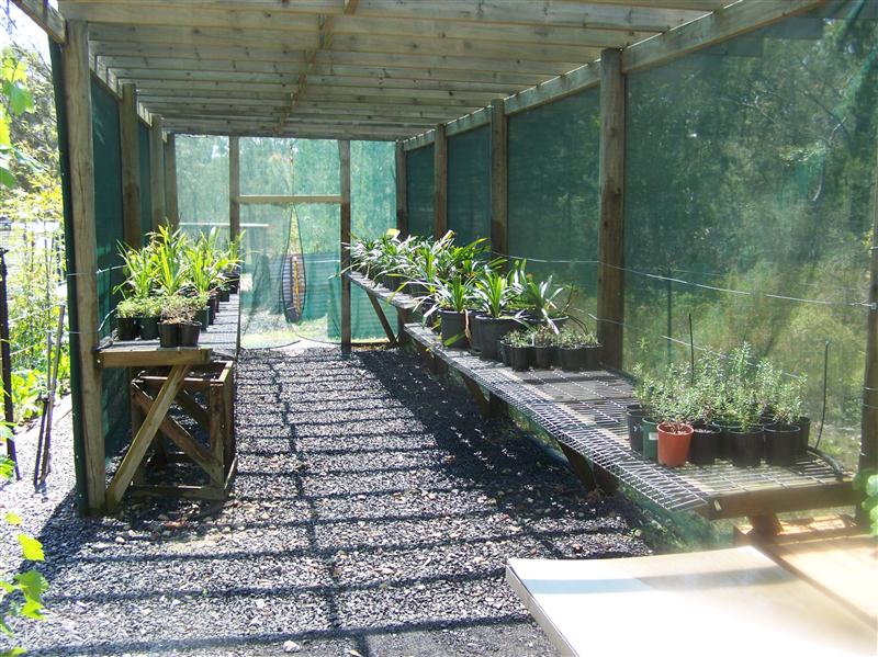 100_5478 (Custom).JPG