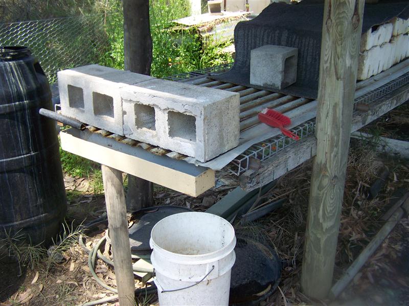 100_5481 (Custom).JPG