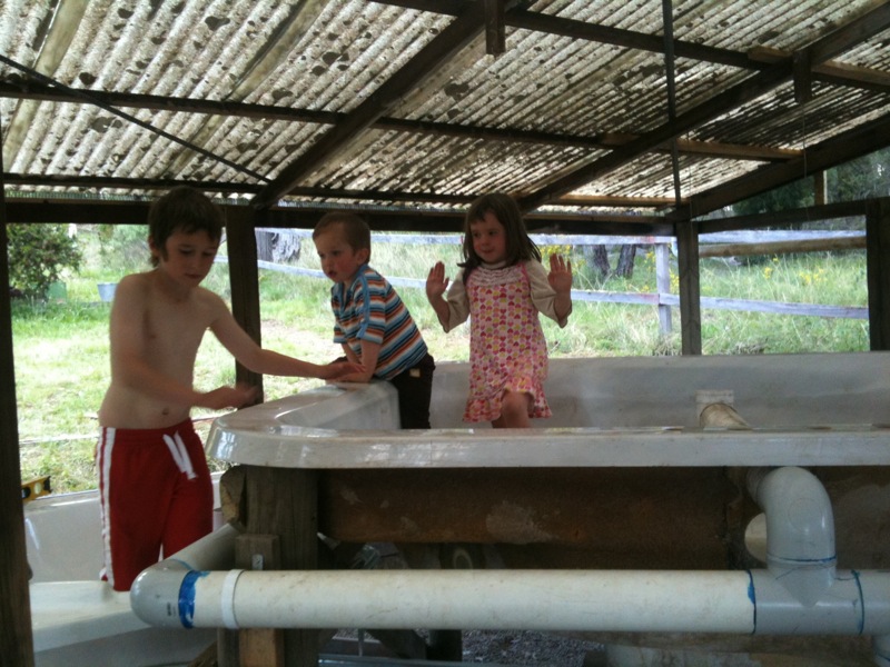 Kids in fishtank.jpg