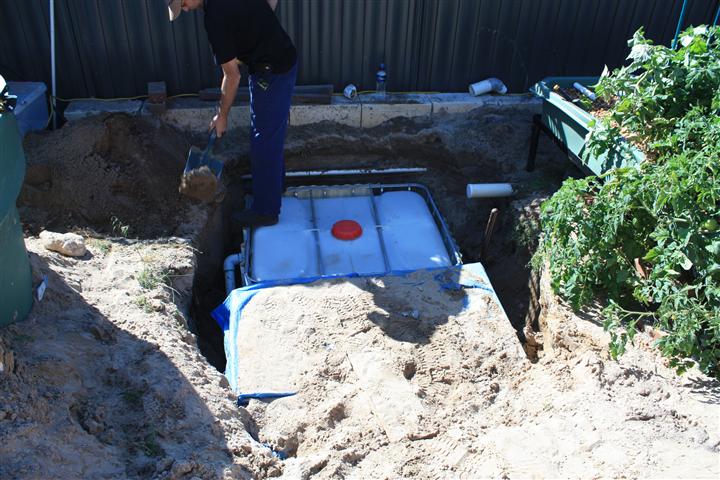 IMG_1434 (Small).JPG