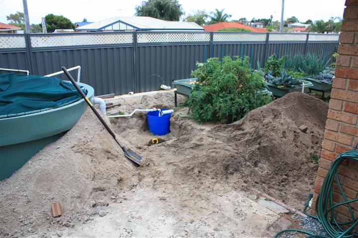 IMG_1428 (Small).JPG