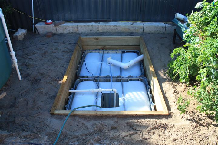 IMG_1438 (Small).JPG