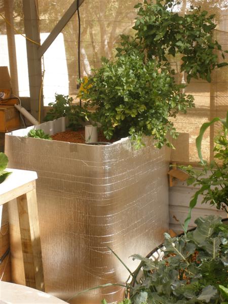 PA231882 (Medium).JPG