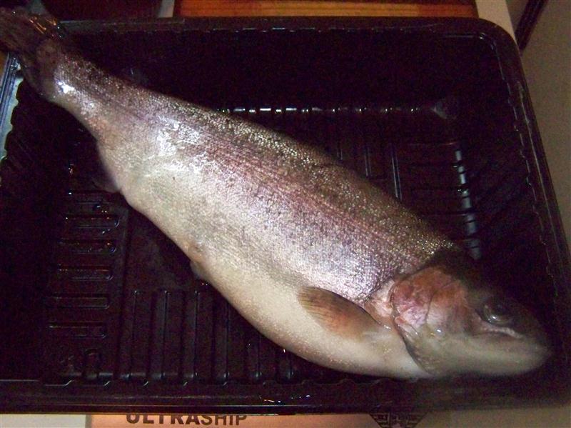 100_5515 (Custom).JPG