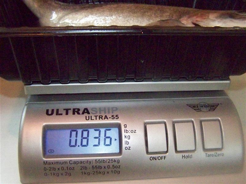 100_5514 (Custom).JPG