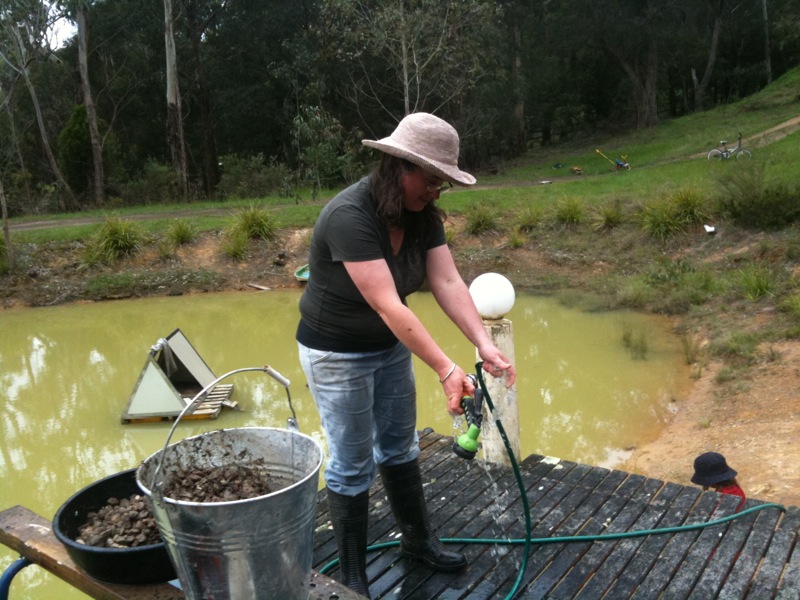Kathy washing crushed brick.jpg