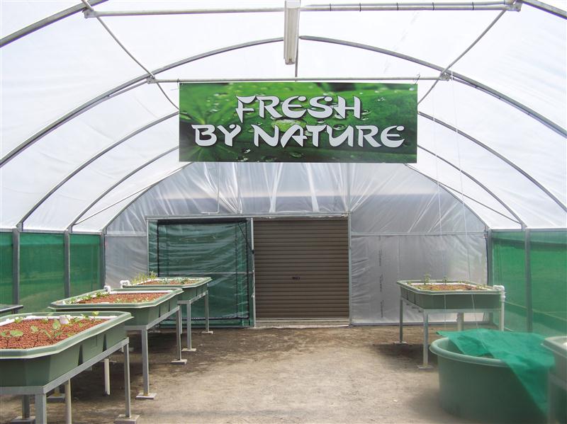 100_5505 (Custom).JPG