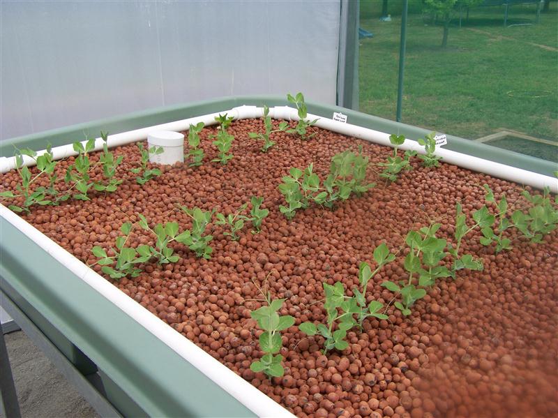 100_5508 (Custom).JPG