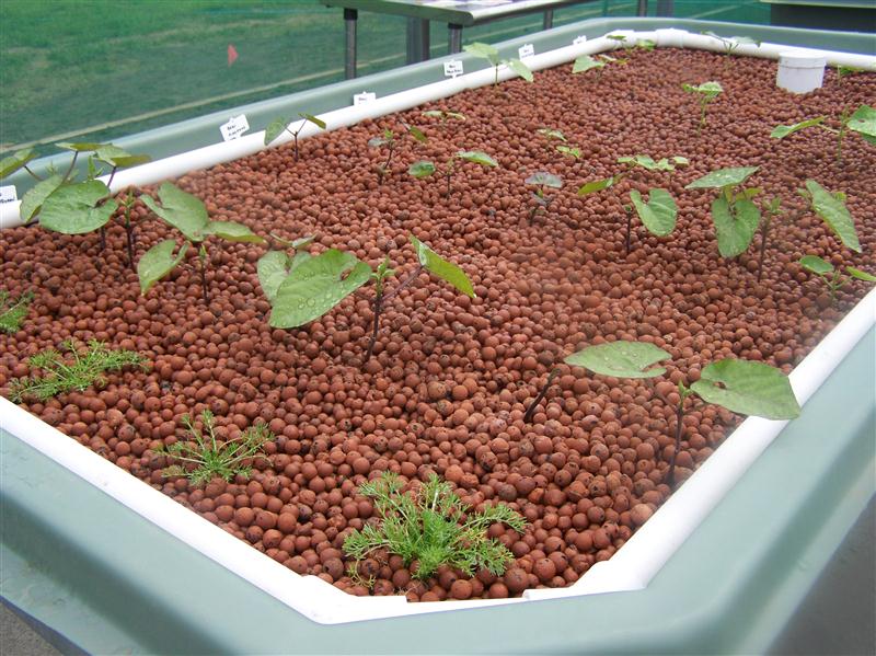 100_5509 (Custom).JPG