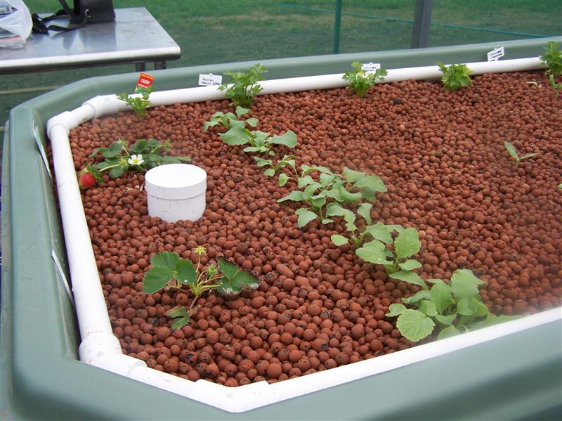 100_5510 (Custom).JPG