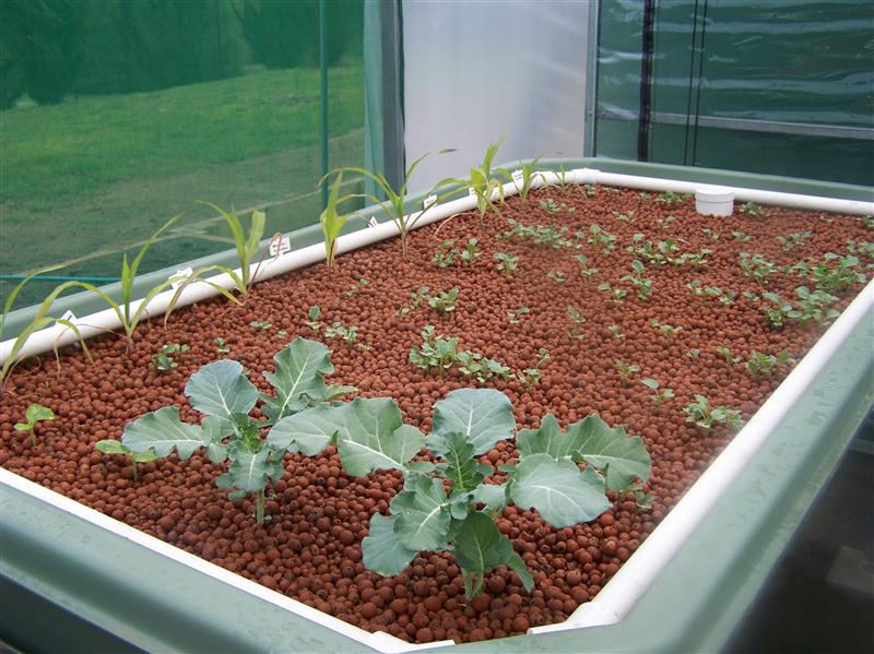 100_5511 (Custom).JPG