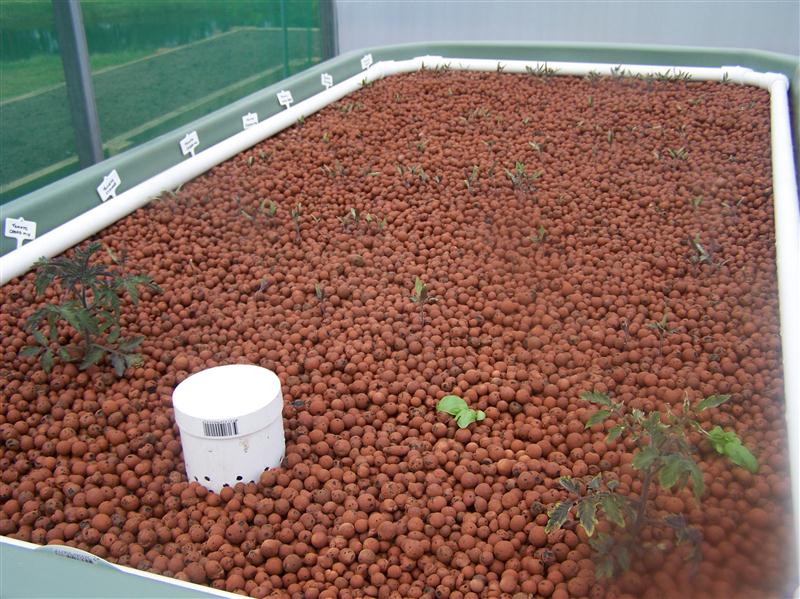 100_5512 (Custom).JPG