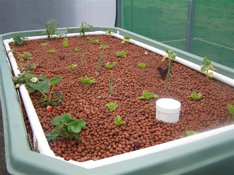 100_5513 (Custom).JPG