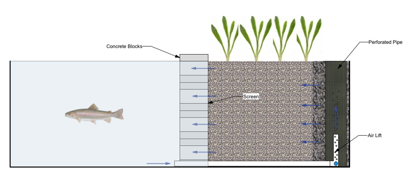 Air Lift Constantly Flooded.jpg