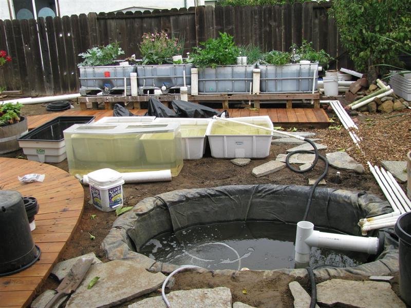 IMG_4833 (Medium).JPG