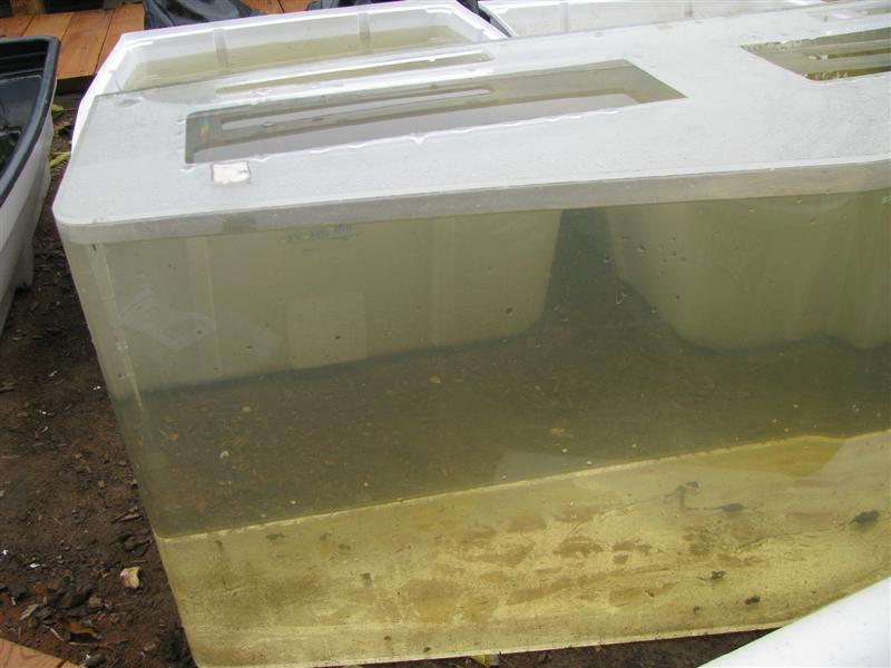 IMG_4834 (Medium).JPG