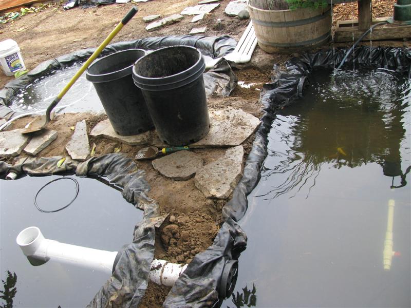 IMG_4837 (Medium).JPG