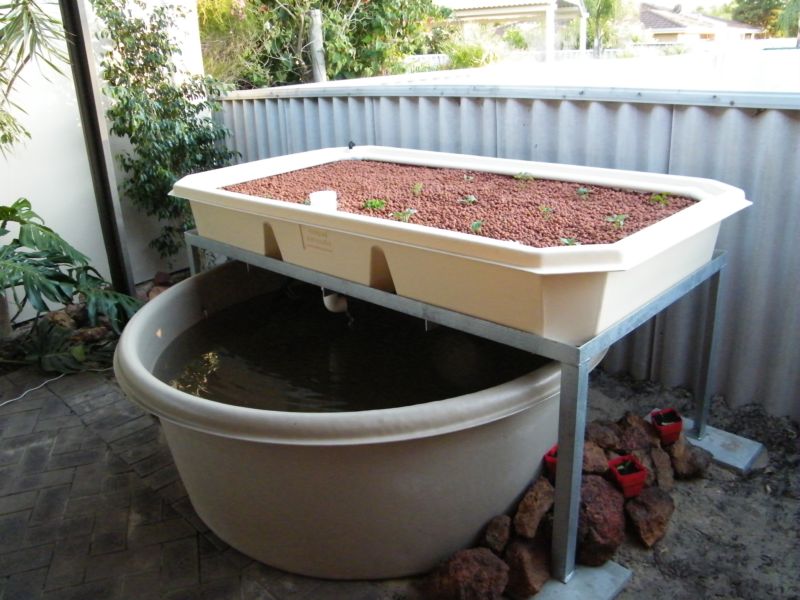 JezaB_AQUAPONICS SETUP.JPEG