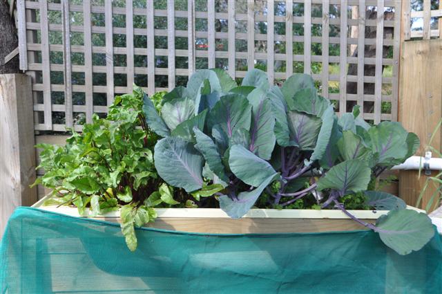 29th October Bed 4.jpg