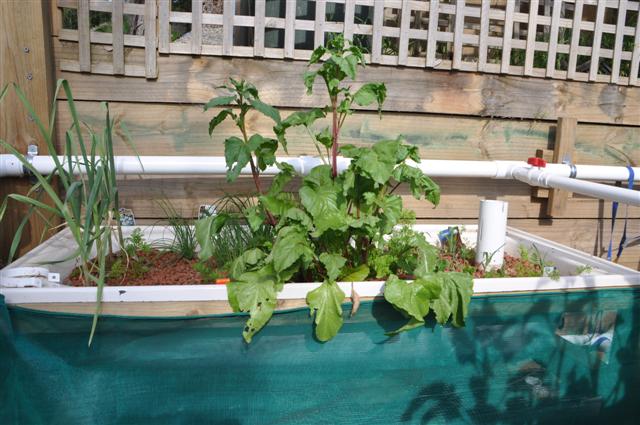 29th October Bed 3.jpg