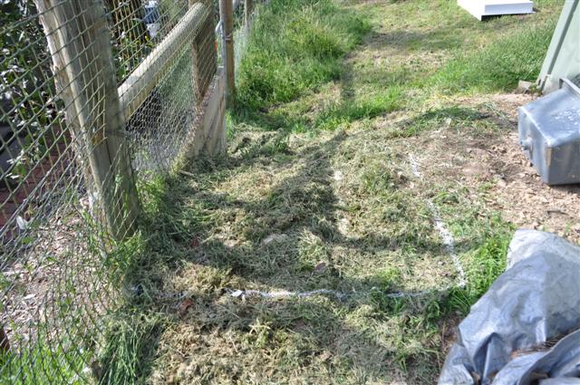 Location of new sump.jpg