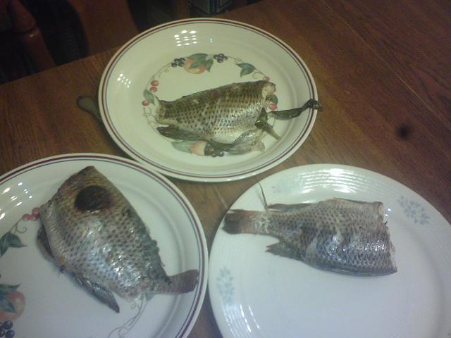 tilapia 1010servedsm.JPG