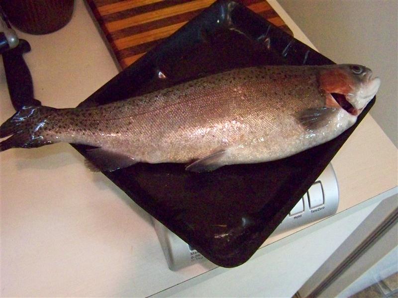 100_5551 (Custom).JPG