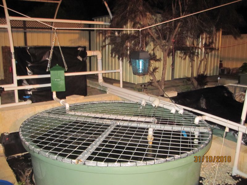 Feeding System_reduced.jpg