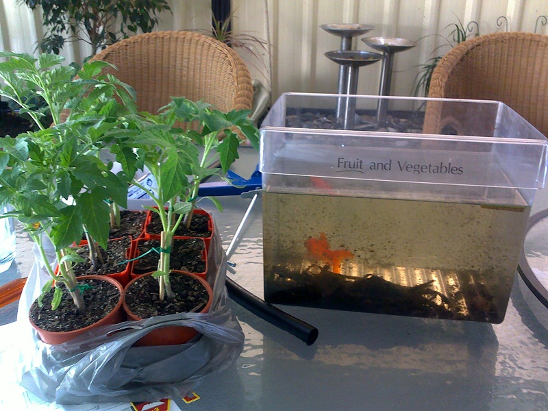 Renovation Accom.jpg