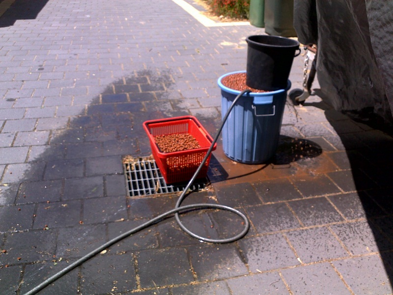 Cleaning the Hydroton.jpg