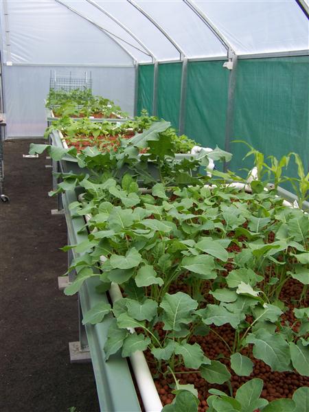 100_5575 (Custom).JPG