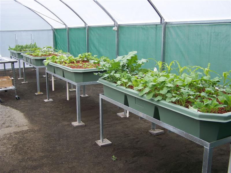 100_5556 (Custom).JPG