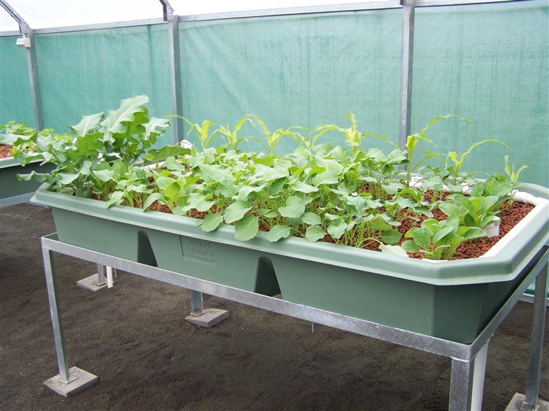 100_5557 (Custom).JPG