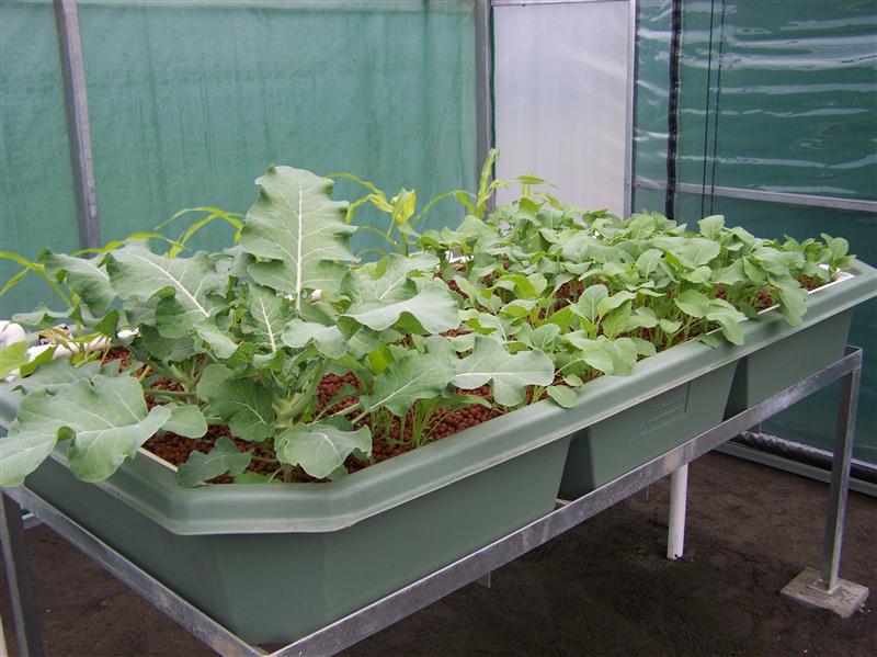 100_5558 (Custom).JPG